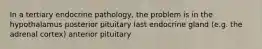 In a tertiary endocrine pathology, the problem is in the hypothalamus posterior pituitary last endocrine gland (e.g. the adrenal cortex) anterior pituitary