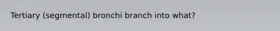 Tertiary (segmental) bronchi branch into what?