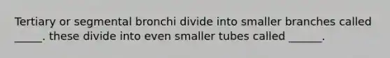 Tertiary or segmental bronchi divide into smaller branches called _____. these divide into even smaller tubes called ______.