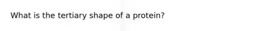 What is the tertiary shape of a protein?