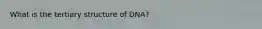 What is the tertiary structure of DNA?