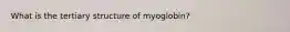 What is the tertiary structure of myoglobin?