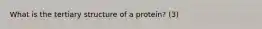 What is the tertiary structure of a protein? (3)