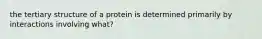 the tertiary structure of a protein is determined primarily by interactions involving what?