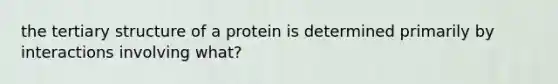 the tertiary structure of a protein is determined primarily by interactions involving what?