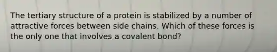 The tertiary structure of a protein is stabilized by a number of attractive forces between side chains. Which of these forces is the only one that involves a covalent bond?