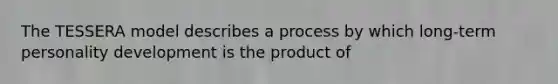 The TESSERA model describes a process by which long-term personality development is the product of