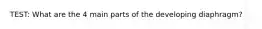 TEST: What are the 4 main parts of the developing diaphragm?
