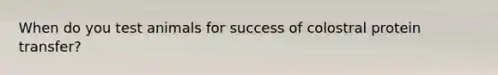 When do you test animals for success of colostral protein transfer?