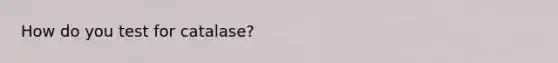 How do you test for catalase?