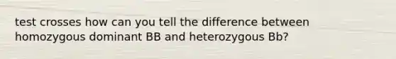 test crosses how can you tell the difference between homozygous dominant BB and heterozygous Bb?