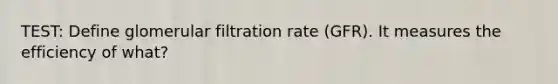 TEST: Define glomerular filtration rate (GFR). It measures the efficiency of what?