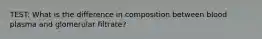 TEST: What is the difference in composition between blood plasma and glomerular filtrate?