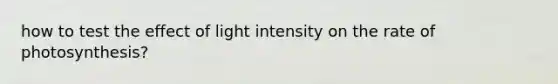 how to test the effect of light intensity on the rate of photosynthesis?