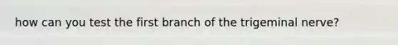 how can you test the first branch of the trigeminal nerve?