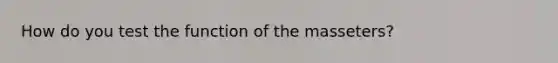 How do you test the function of the masseters?
