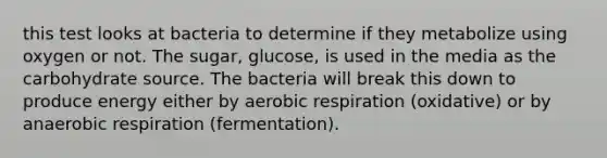 this test looks at bacteria to determine if they metabolize using oxygen or not. The sugar, glucose, is used in the media as the carbohydrate source. The bacteria will break this down to produce energy either by aerobic respiration (oxidative) or by anaerobic respiration (fermentation).