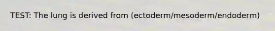 TEST: The lung is derived from (ectoderm/mesoderm/endoderm)