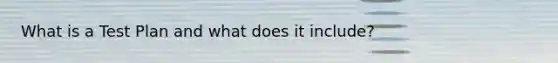 What is a Test Plan and what does it include?