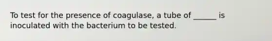 To test for the presence of coagulase, a tube of ______ is inoculated with the bacterium to be tested.