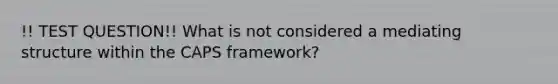 !! TEST QUESTION!! What is not considered a mediating structure within the CAPS framework?