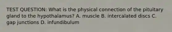 TEST QUESTION: What is the physical connection of the pituitary gland to the hypothalamus? A. muscle B. intercalated discs C. gap junctions D. infundibulum