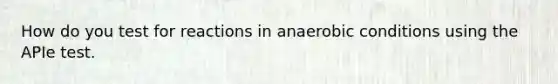 How do you test for reactions in anaerobic conditions using the APIe test.