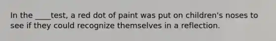 In the ____test, a red dot of paint was put on children's noses to see if they could recognize themselves in a reflection.