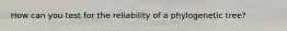 How can you test for the reliability of a phylogenetic tree?