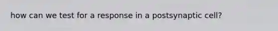 how can we test for a response in a postsynaptic cell?