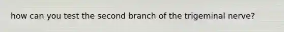 how can you test the second branch of the trigeminal nerve?