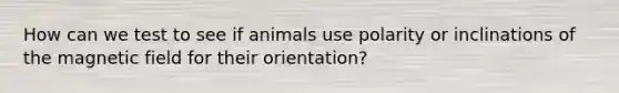 How can we test to see if animals use polarity or inclinations of the magnetic field for their orientation?