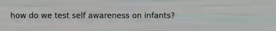 how do we test self awareness on infants?