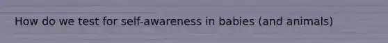 How do we test for self-awareness in babies (and animals)