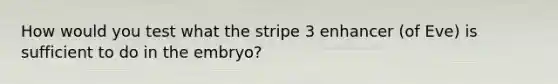 How would you test what the stripe 3 enhancer (of Eve) is sufficient to do in the embryo?