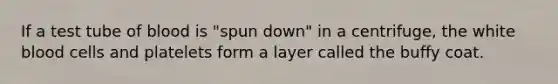 If a test tube of blood is "spun down" in a centrifuge, the white blood cells and platelets form a layer called the buffy coat.