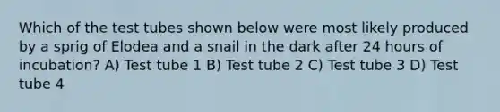 Which of the test tubes shown below were most likely produced by a sprig of Elodea and a snail in the dark after 24 hours of incubation? A) Test tube 1 B) Test tube 2 C) Test tube 3 D) Test tube 4