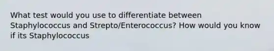 What test would you use to differentiate between Staphylococcus and Strepto/Enterococcus? How would you know if its Staphylococcus