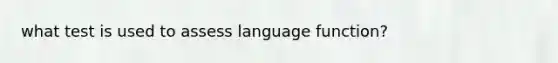 what test is used to assess language function?