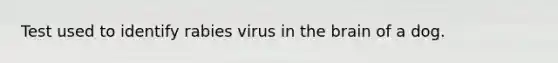 Test used to identify rabies virus in the brain of a dog.