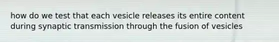 how do we test that each vesicle releases its entire content during synaptic transmission through the fusion of vesicles