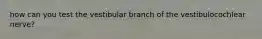 how can you test the vestibular branch of the vestibulocochlear nerve?