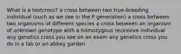 What is a testcross? a cross between two true-breeding individual (such as we see in the P generation) a cross between two organisms of different species a cross between an organism of unknown genotype with a homozygous recessive individual any genetics cross you see on an exam any genetics cross you do in a lab or an abbey garden