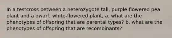 In a testcross between a heterozygote tall, purple-flowered pea plant and a dwarf, white-flowered plant, a. what are the phenotypes of offspring that are parental types? b. what are the phenotypes of offspring that are recombinants?