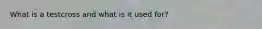 What is a testcross and what is it used for?