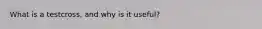 What is a testcross, and why is it useful?