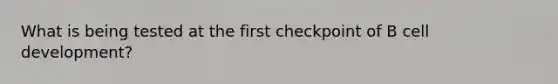 What is being tested at the first checkpoint of B cell development?