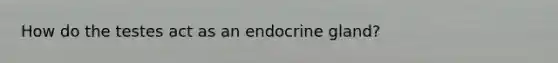 How do the testes act as an endocrine gland?