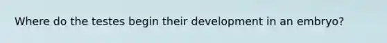 Where do the testes begin their development in an embryo?