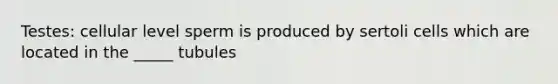Testes: cellular level sperm is produced by sertoli cells which are located in the _____ tubules